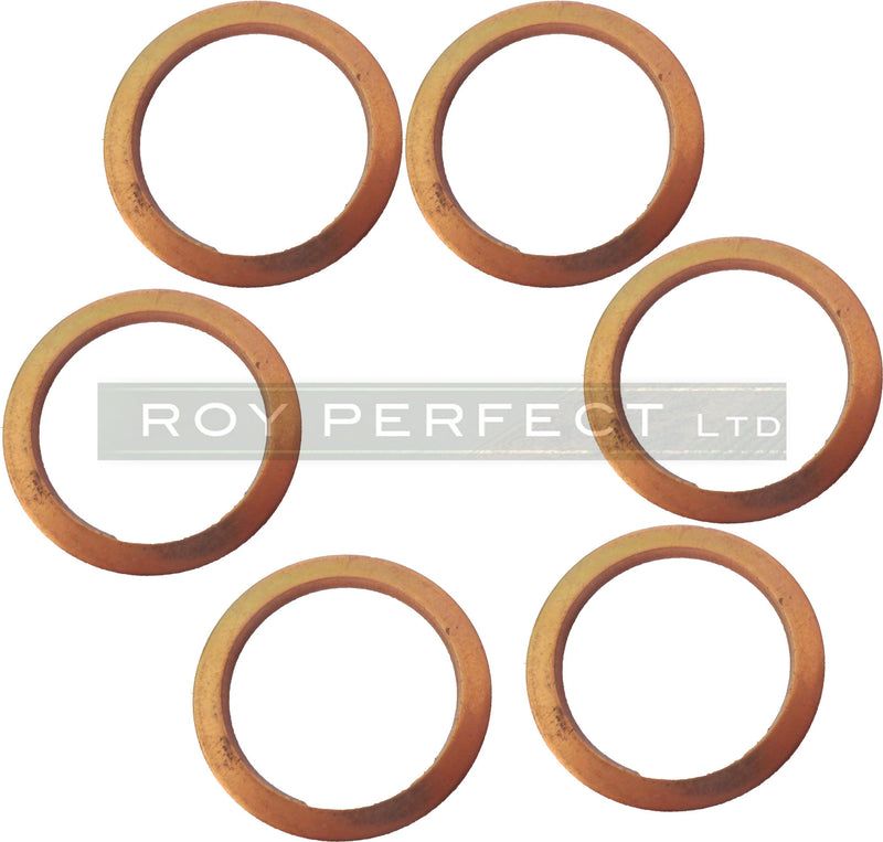 Copper Washer Set of 6 (24x30x2) - Roy Perfect LTD