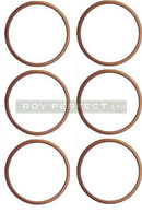 Copper Washer Set of 6 (24x28x1.5) - Roy Perfect LTD